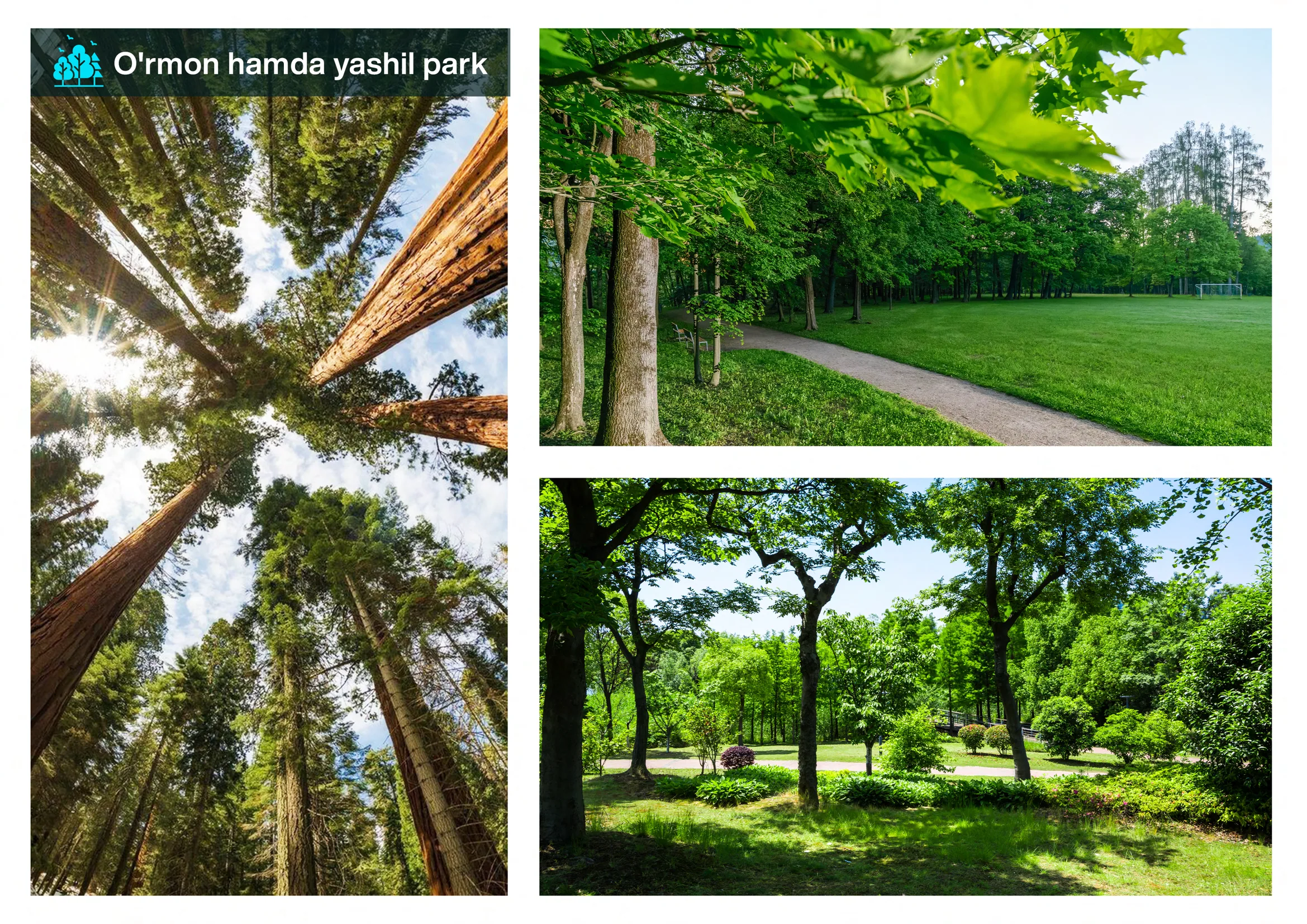 Imarat Hills — 31