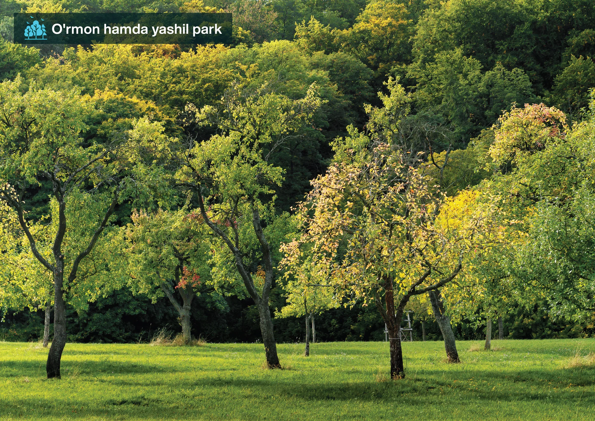 Imarat Hills — 32